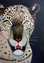 Gepard