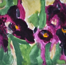 Iris 20x20