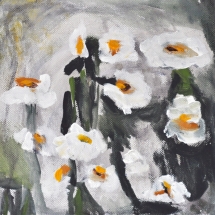 weiße Rosen 20x20