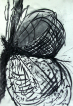 Kohleblume 8