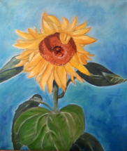 Sonnenblume, Öl auf Leinwand, 50cm x 70 70cm, 2006